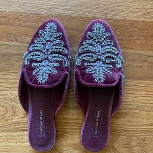 Antonio Melani Mule, used condition